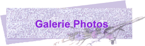 Galerie Photos